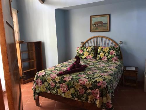 Hostal Fenix Hotel - On The Beach