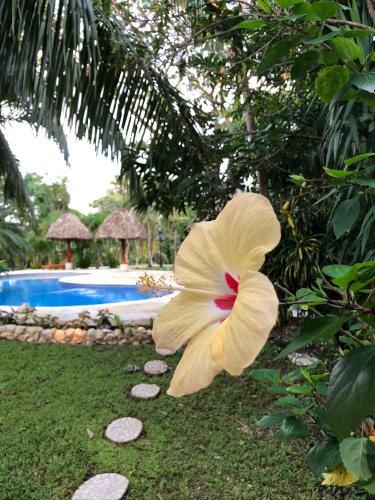 Hotel Lodge Las Ranas