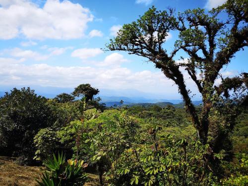 Villa Blanca Cloud Forest Hotel & Nature Reserve
