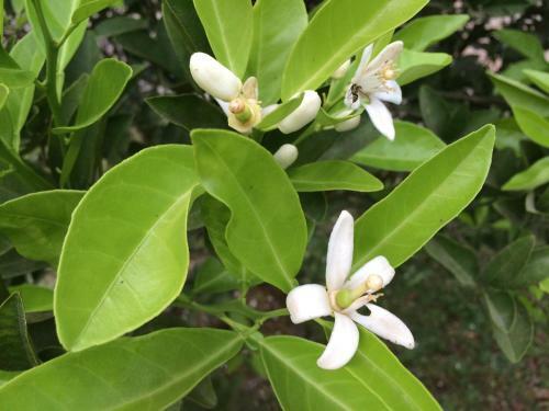 Bed & Breakfast Vista Valverde