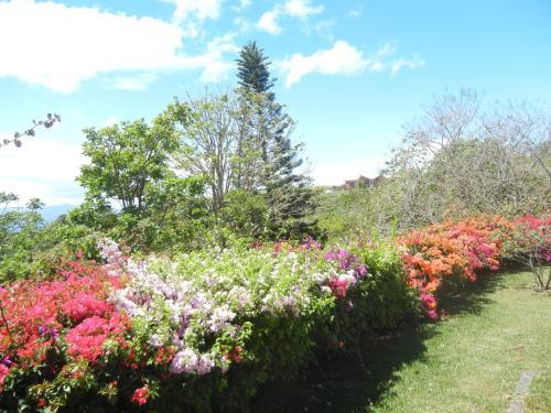 Bed & Breakfast Finca Vibran B & B