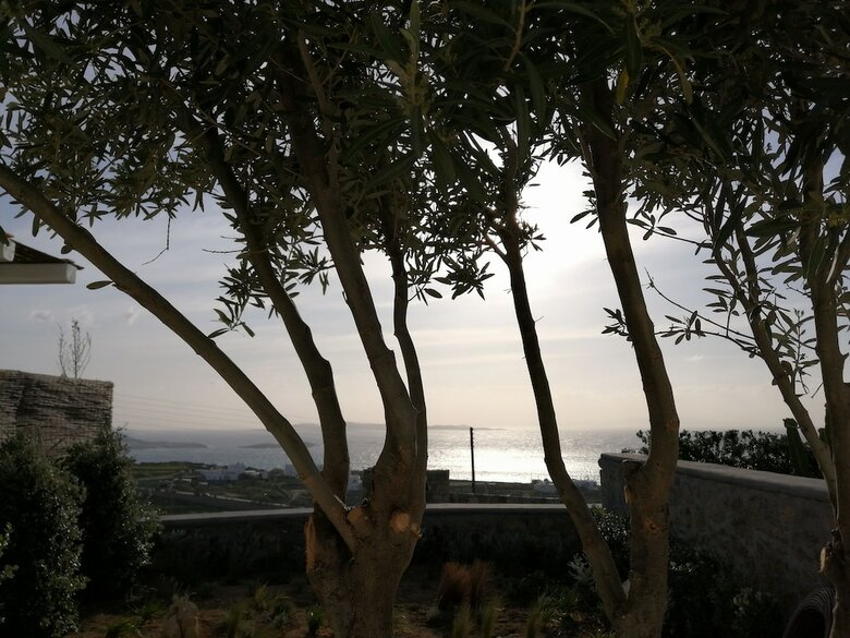 Hotel Kipos Villas And Suites