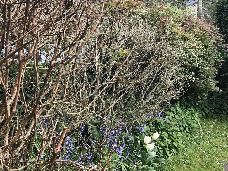Spring Gardens B&B
