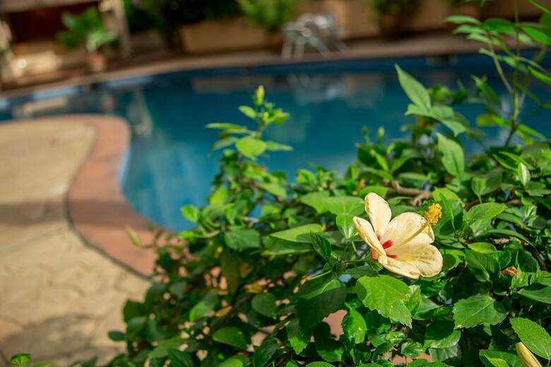Aparthotel La Cour Hotel Apartments