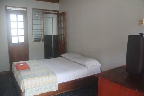 Hostal Hotel Reventazon & Guesthouse