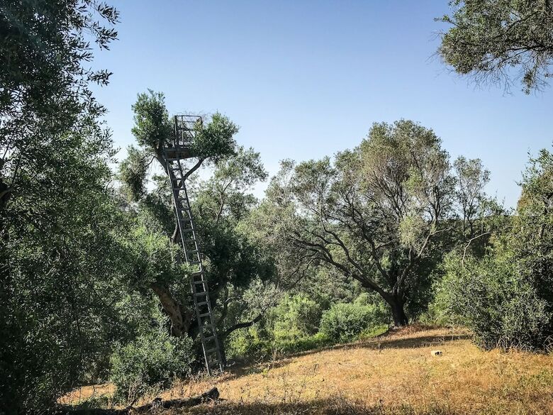 Hidden Gem In Nature Reserve On The Beach