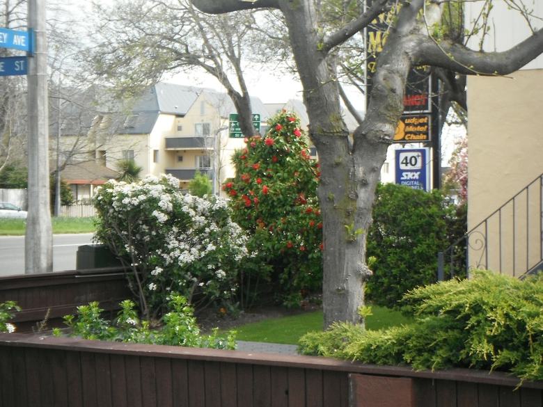 Motel Avalon Court Accommodation