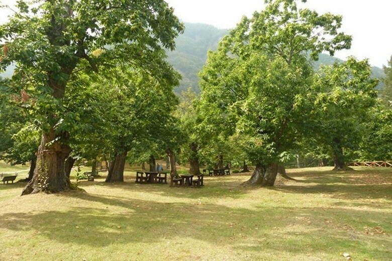 Campeggio Parco Dei Castagni Srl