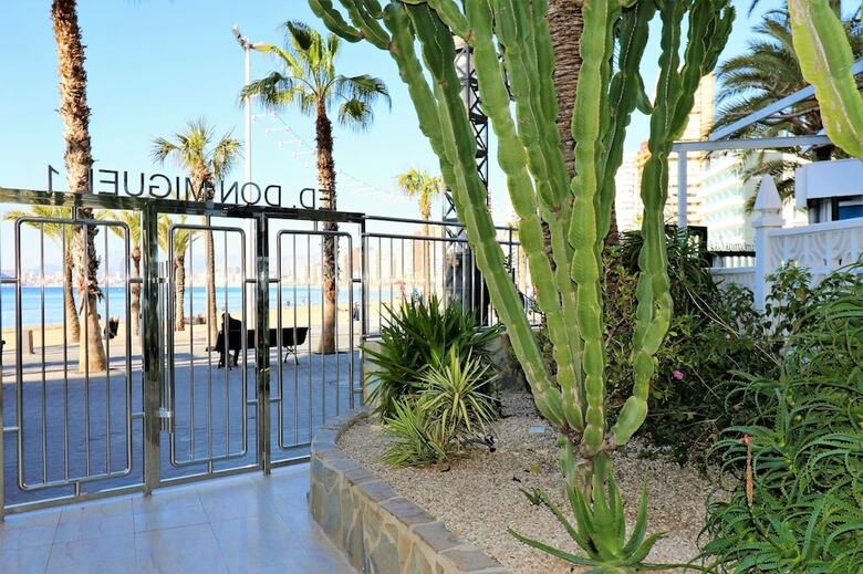 Apartamento Don Miguel 1 4-b