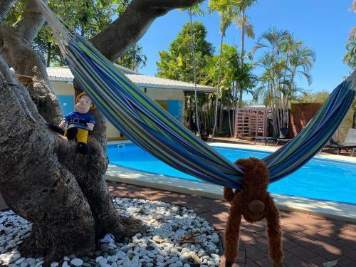 Hostal Darwin Hostel