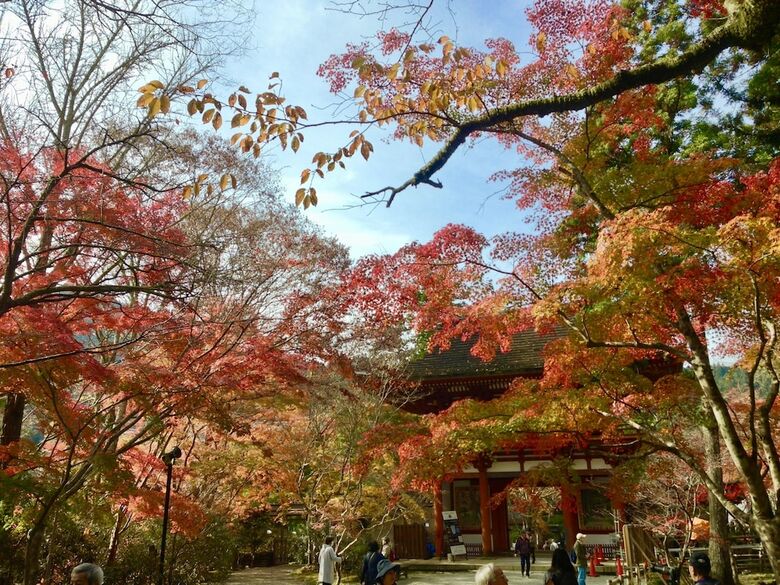 Hotel Guesthouse Ittan