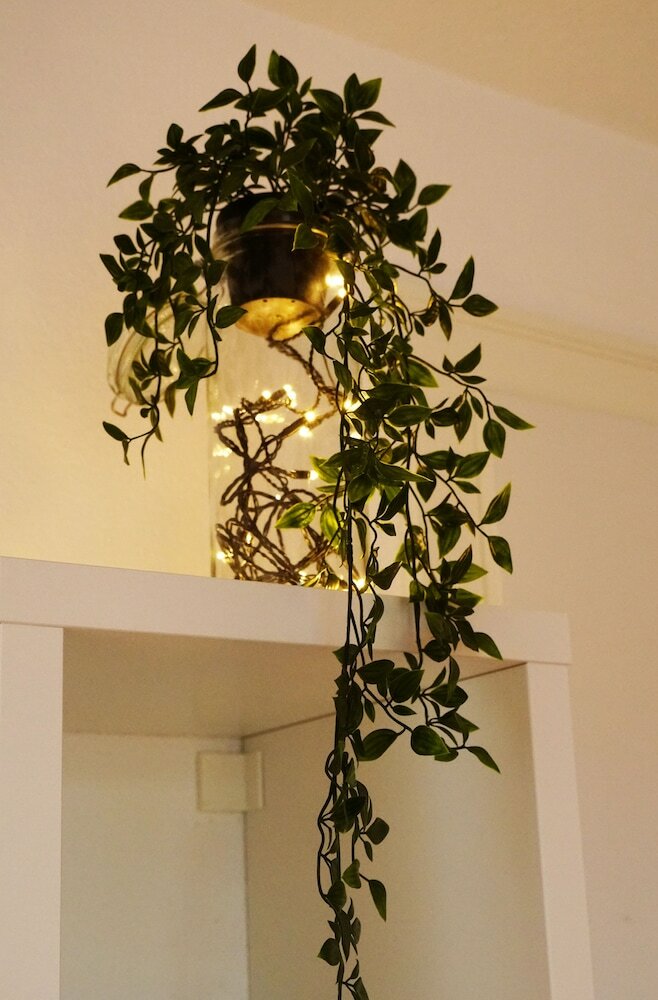 Hotel Adventure Guesthouse