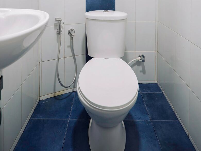 Hotel Oyo 15825 Blue Berry Apartments