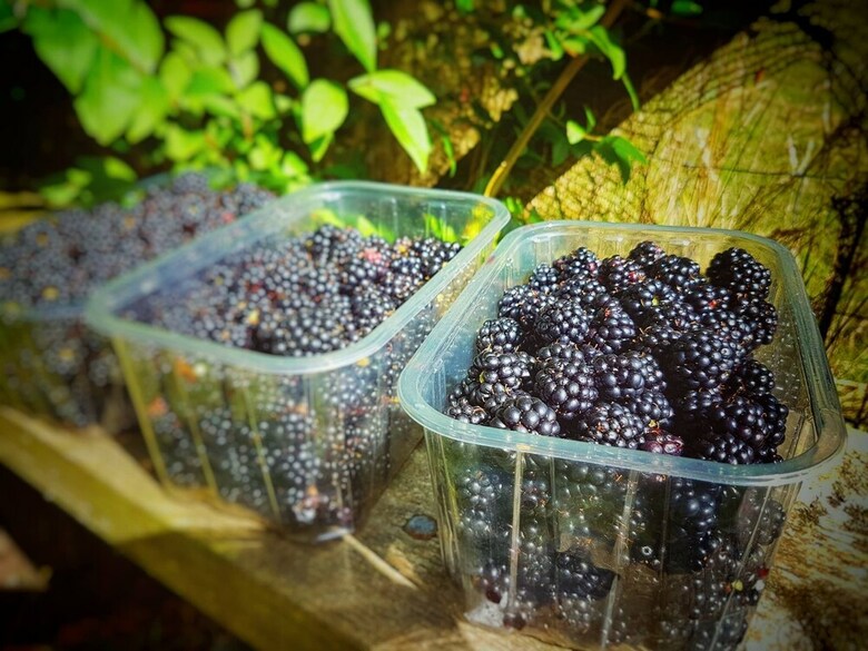 Hotel Higher Culloden Farm