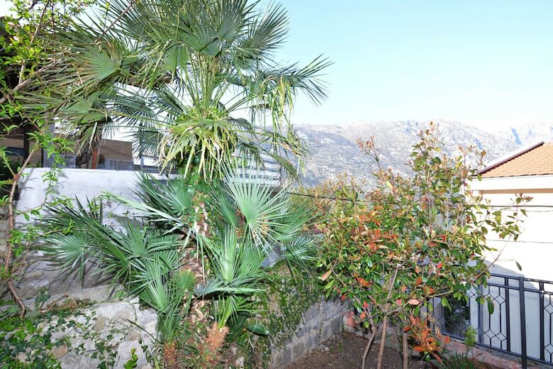 Apartamentos Holiday Home Cattaro