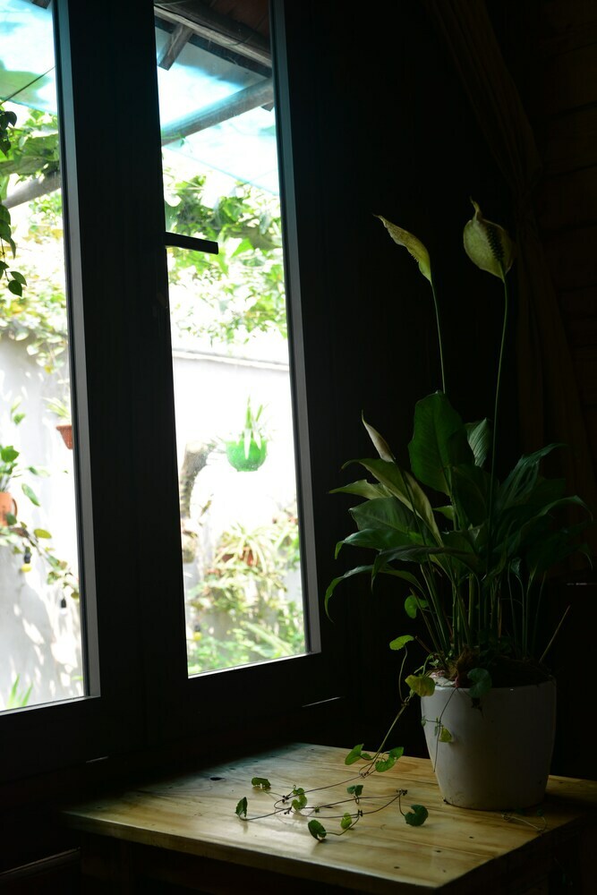 Hotel Trang An Precious Homestay
