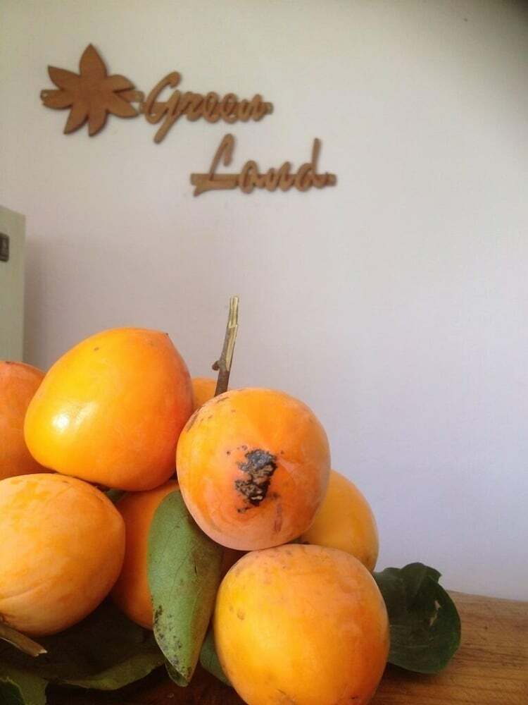 Hotel Green Land Lodge & Restaurant