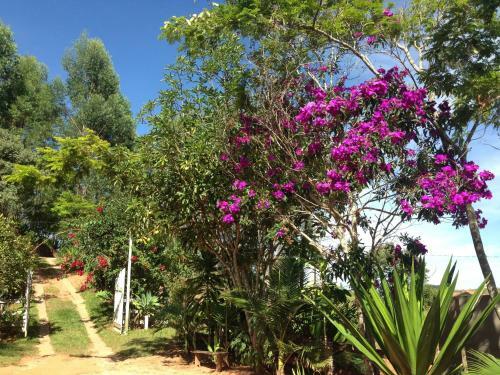 Hostal Pousada Vista Verde