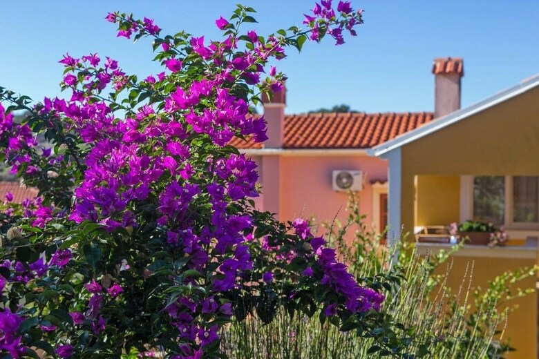 Bozena - Apartment Bozena 1/4