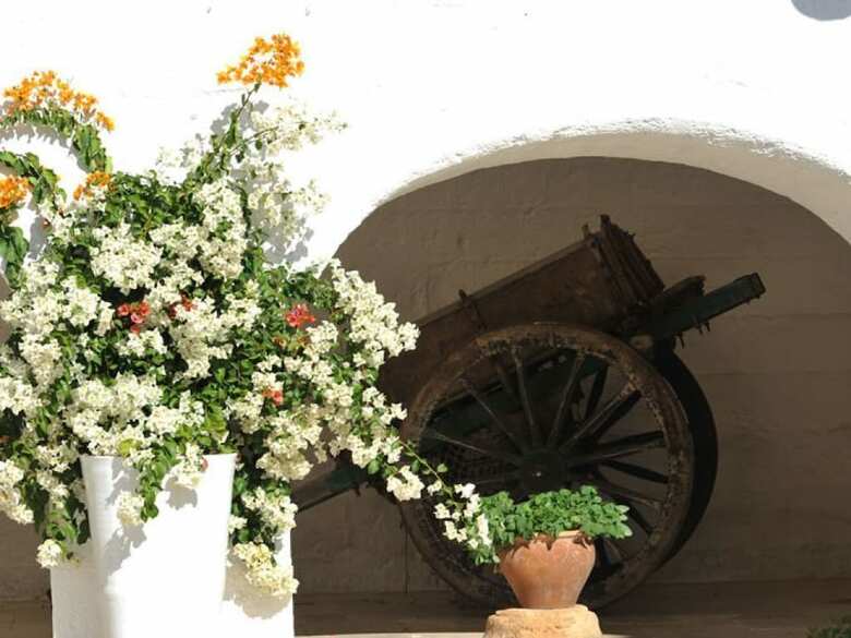 Bed & Breakfast Masseria La Brunetta