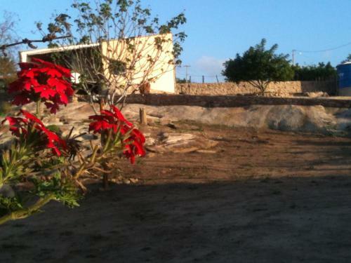 Hostal Pousada Chal�s Lajedo Da Serra