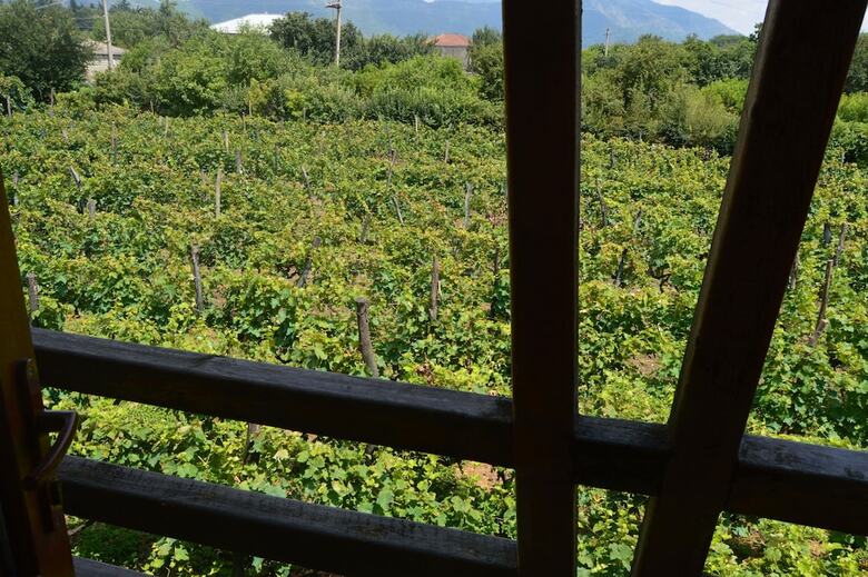 Hotel Twins Wine Cellar