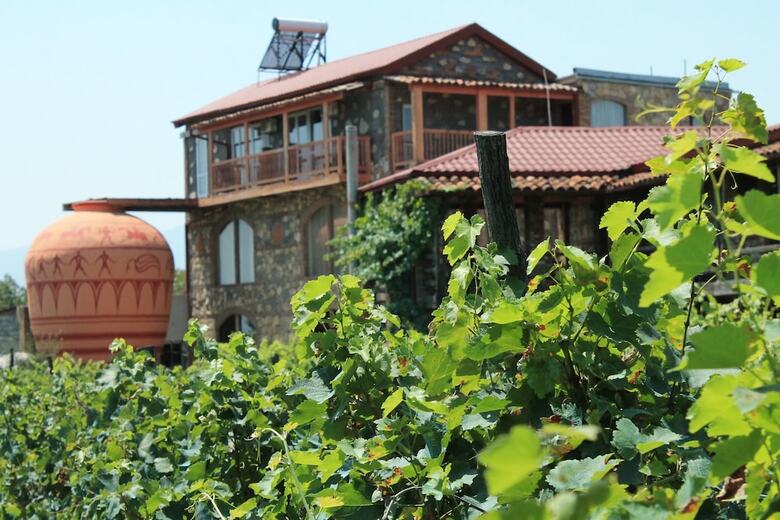 Hotel Twins Wine Cellar