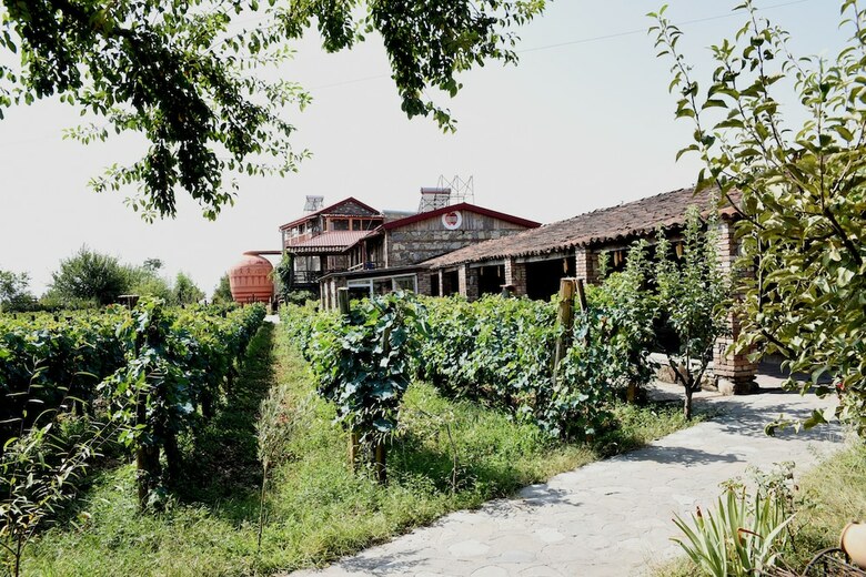 Hotel Twins Wine Cellar