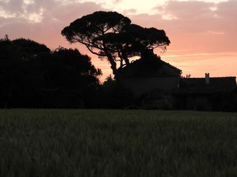 Les Ombelles Albigeoises - Les G�tes