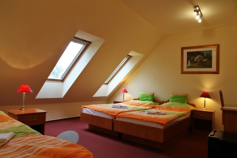 Pension Minerva Panzi�