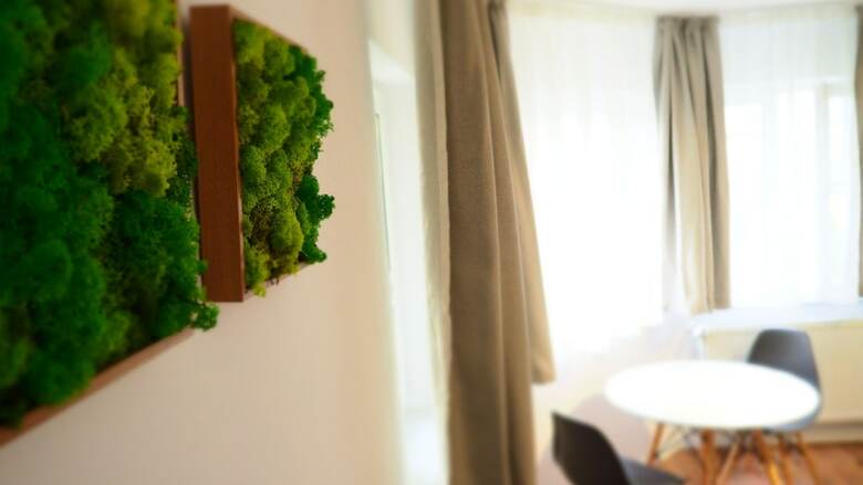 Willow&pillow Studio Apartments