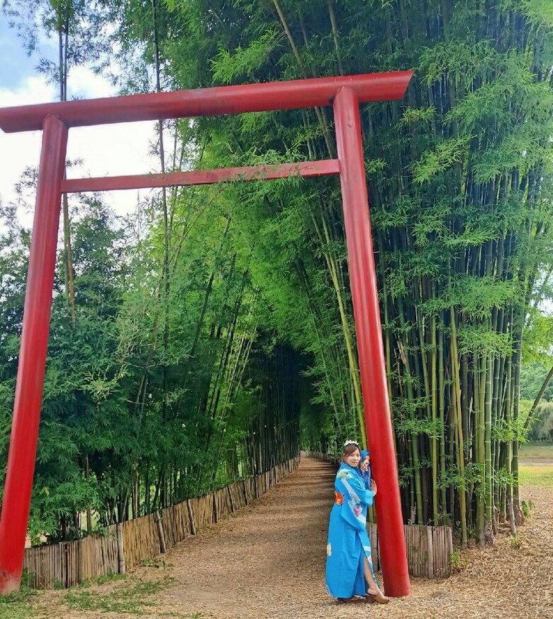 Hotel Bamboo Grove Chiang Mai