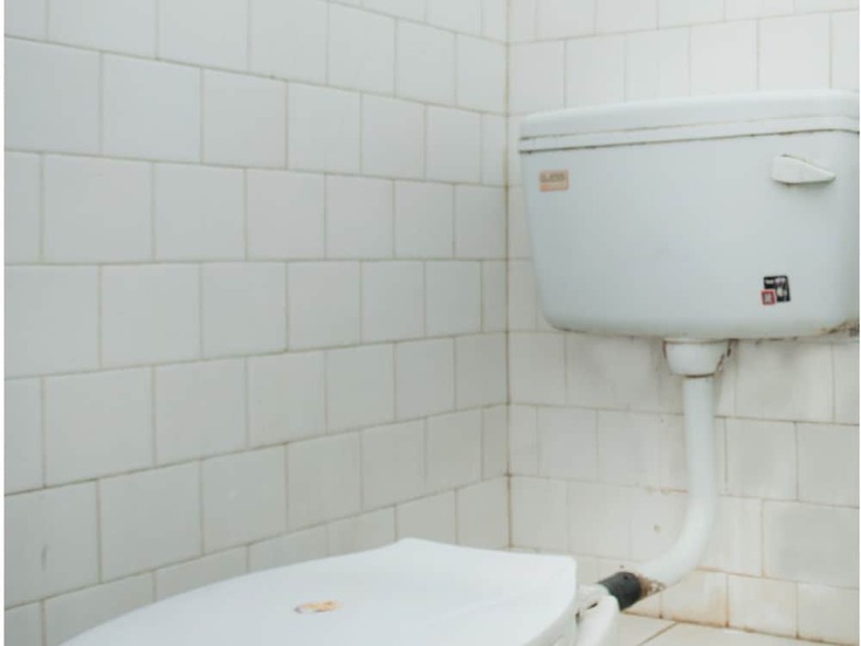 Spot On 383 Hotel Himalayan Ashoka