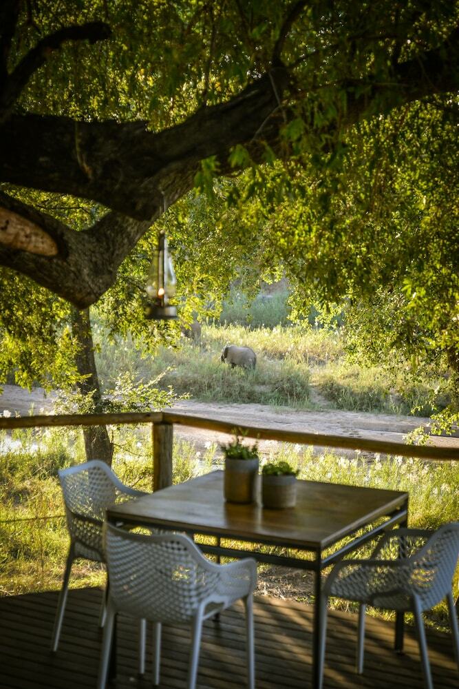 Posada Lion Sands Narina Lodge