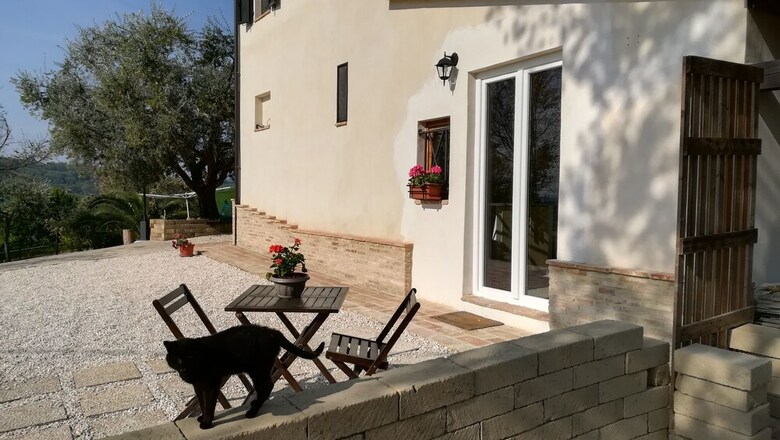 B&B Sotto L'ulivo