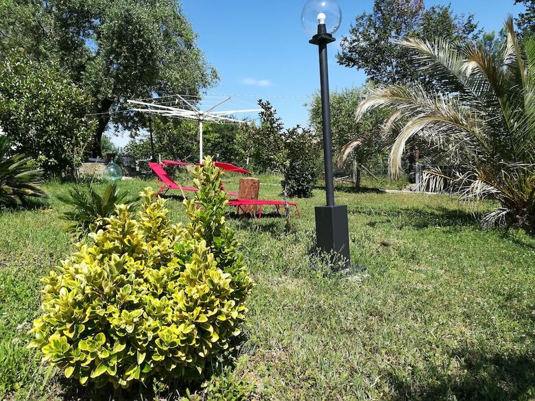 B&B Sotto L'ulivo