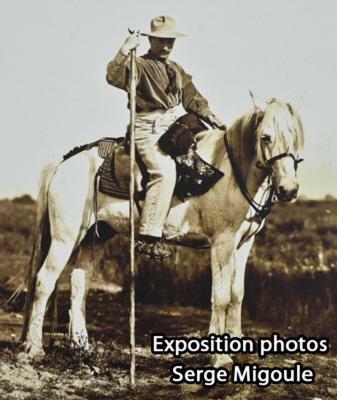 Hotel H�tel Le Neptune En Camargue