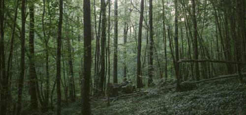 Agroturismo Chambre D'hotes Cugnac