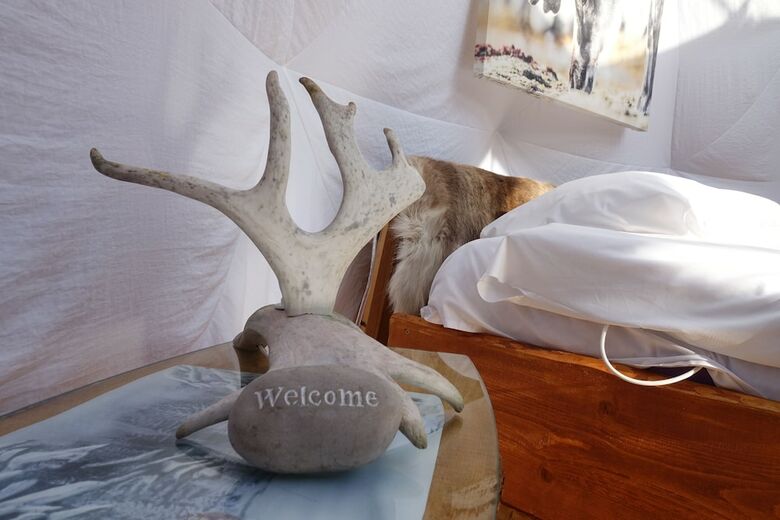 Wild Caribou Dome & Wilderness Cabin