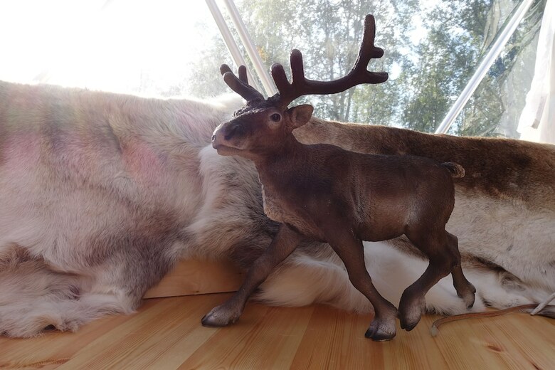 Wild Caribou Dome & Wilderness Cabin