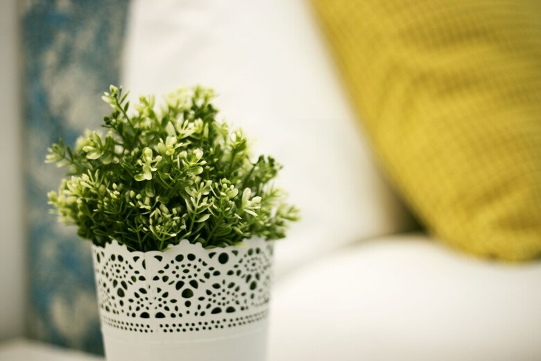 Apartamentos Center Garden & Pool