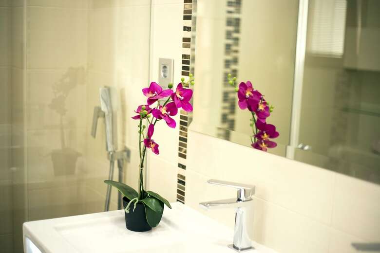 Apartamentos La Nogalera Luxury & Comfort