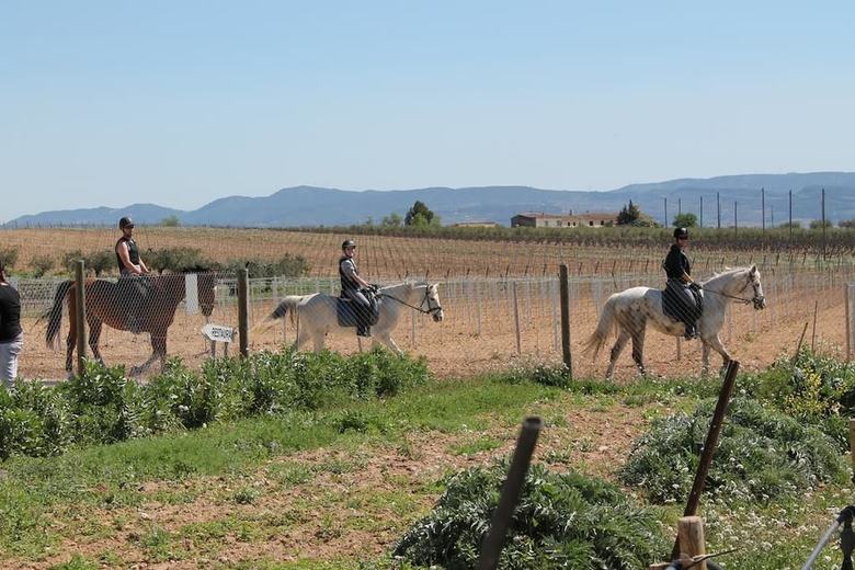 Agroturismo Cal Peret Parera