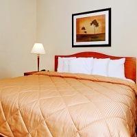 Hotel Comfort Inn Dfw North