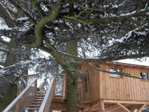 Hostal Domaine Des Grands C�dres - Maison D'h�tes