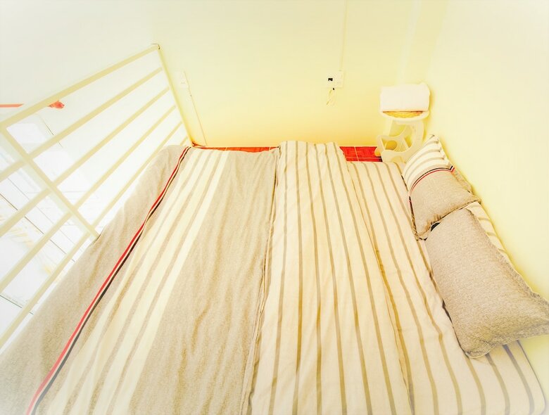 Apartamentos Dau Dau House