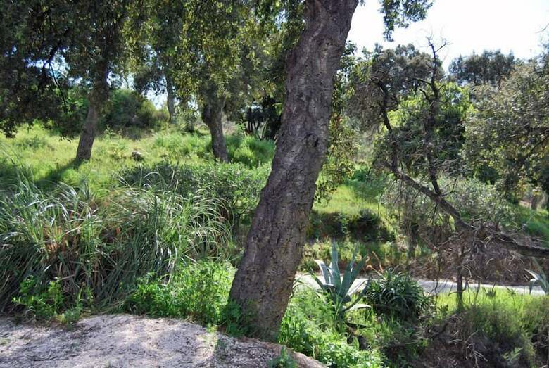 Bed & Breakfast Villa Nais