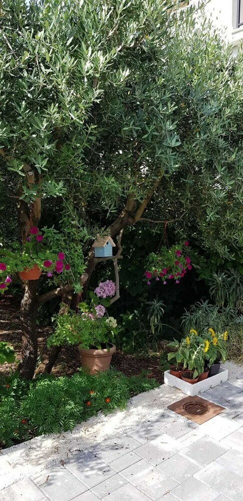 Apartamentos Salsa Brac