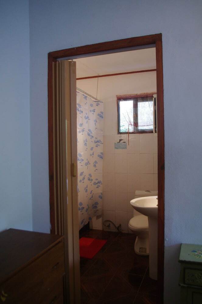 Hotel Papaya Guesthouse