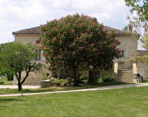 Hostal Domaine De L'isle Basse
